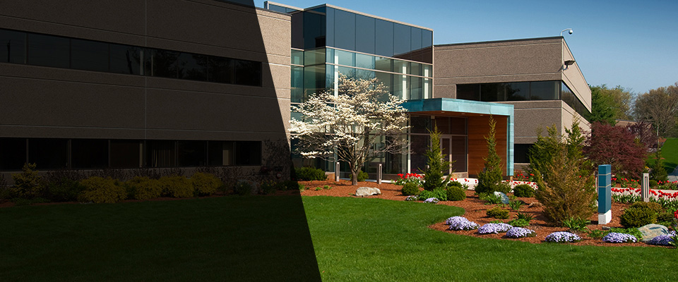 Holt Landscapers