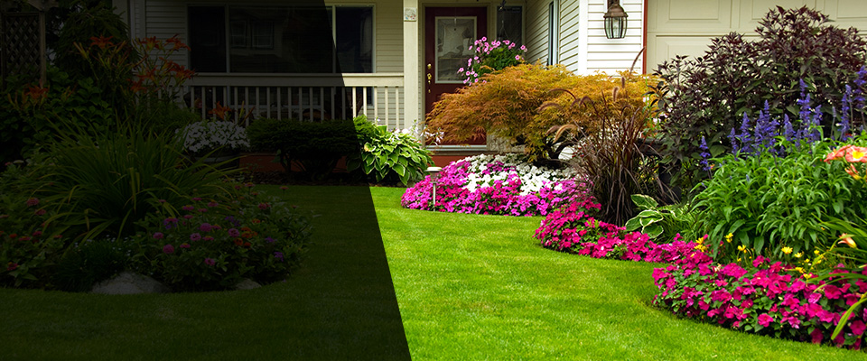 Holt Landscapers