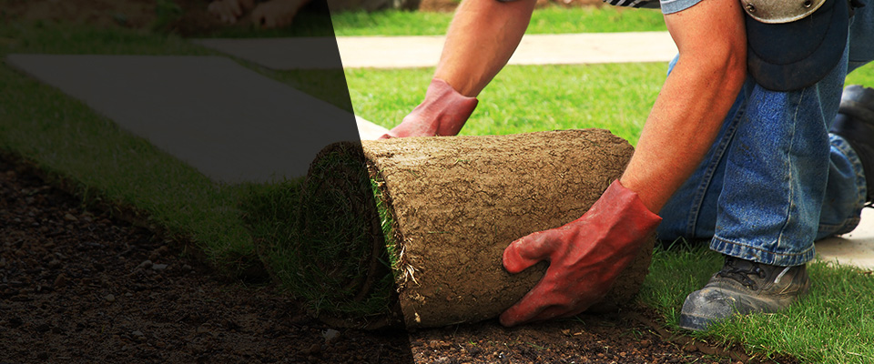 Holt Landscapers